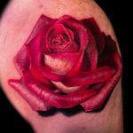 Tattoos - Color Realism Rose - 104181